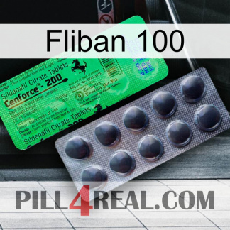 Fliban 100 new04